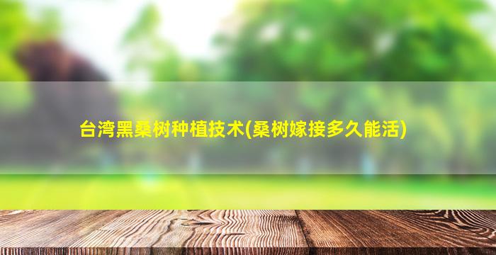 台湾黑桑树种植技术(桑树嫁接多久能活)