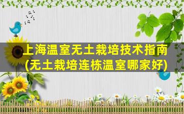 上海温室无土栽培技术指南(无土栽培连栋温室哪家好)