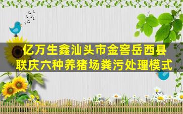 亿万生鑫汕头市金窖岳西县联庆六种养猪场粪污处理模式