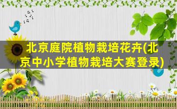 北京庭院植物栽培花卉(北京中小学植物栽培大赛登录)