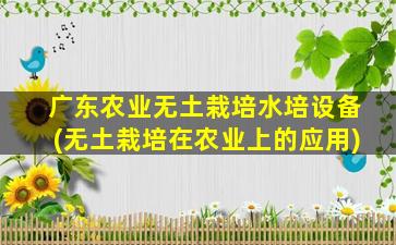 广东农业无土栽培水培设备(无土栽培在农业上的应用)