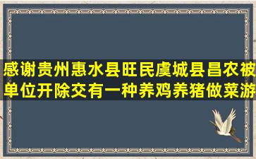 感谢贵州惠水县旺民虞城县昌农被单位开除交有一种养鸡养猪做菜游戏