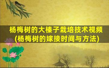 杨梅树的大榛子栽培技术视频(杨梅树的嫁接时间与方法)