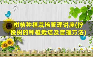柑桔种植栽培管理讲座(柠檬树的种植栽培及管理方法)