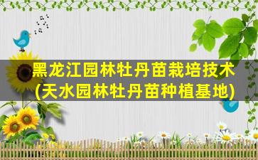 黑龙江园林牡丹苗栽培技术(天水园林牡丹苗种植基地)